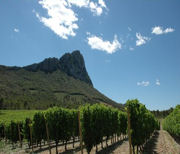 Pic Saint Loup